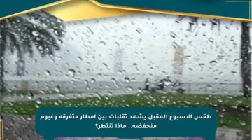 طقس الأسبوع المقبل يشهد تقلبات بين أمطار متفرقة وغيوم منخفضة.. ماذا تنتظر؟